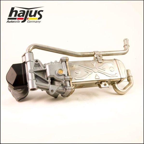 hajus Autoteile AGR-Modul (1311045)