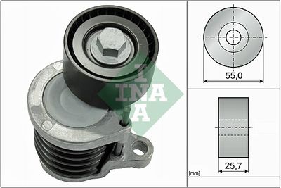 INA Spannarm, Keilrippenriemen (534 0591 10)