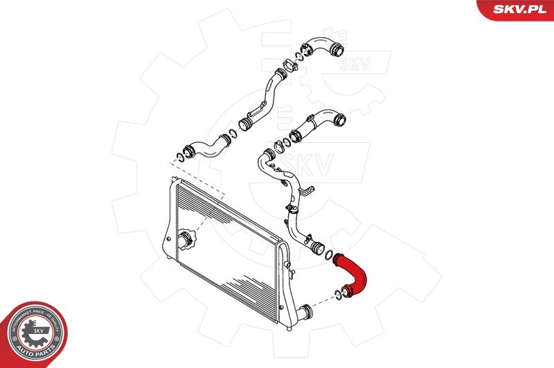 ESEN SKV Ladeluftschlauch (24SKV073)