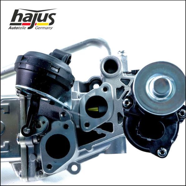 hajus Autoteile AGR-Modul (1311045)