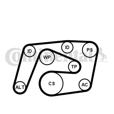 CONTINENTAL CTAM Keilrippenriemensatz (6PK2260K1) Thumbnail