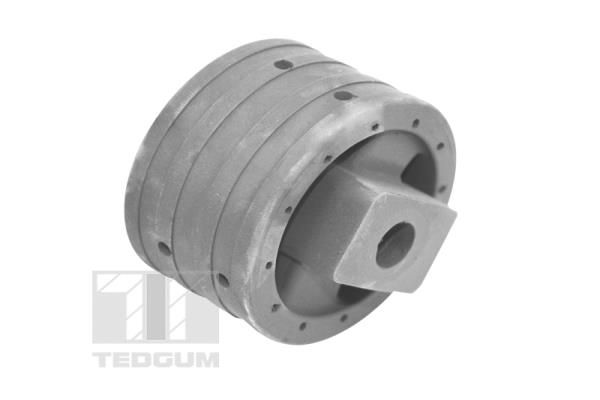 TEDGUM Lagerung, Motor (00741004)