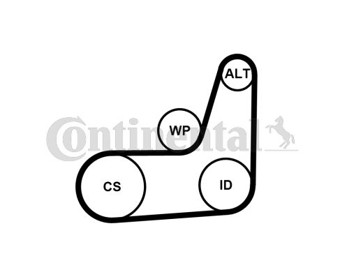 CONTINENTAL CTAM Keilrippenriemensatz (6PK1019 ELAST T2)