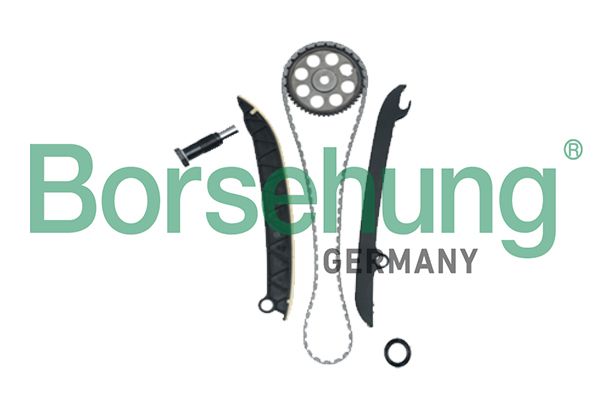 Borsehung Steuerkettensatz (B18977)