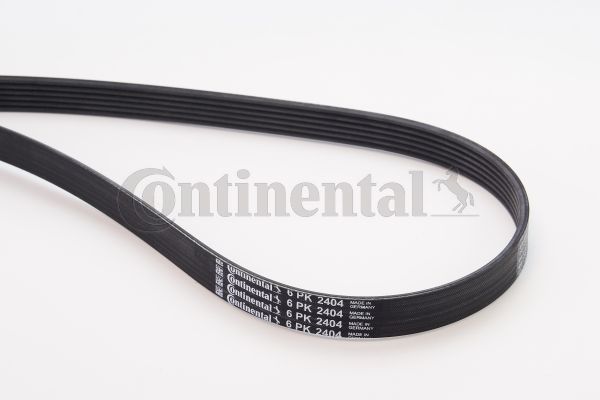 CONTINENTAL CTAM Keilrippenriemen (6PK2404)