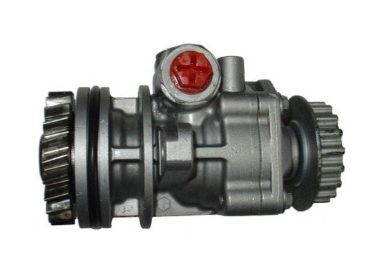 SPIDAN Hydraulikpumpe, Lenkung (54273)