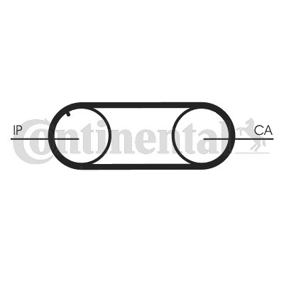 CONTINENTAL CTAM Zahnriemen (CT645)