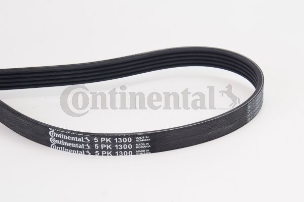 CONTINENTAL CTAM Keilrippenriemen (5PK1300)