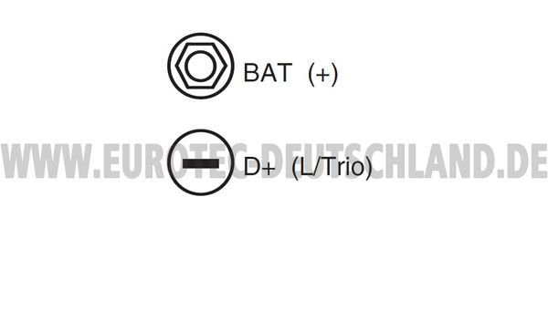 EUROTEC Generator (12030990)