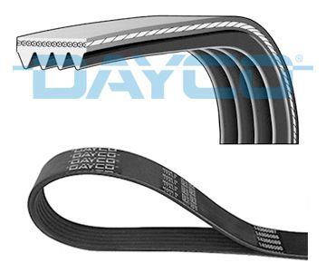 DAYCO Keilrippenriemen (4PK922EE)