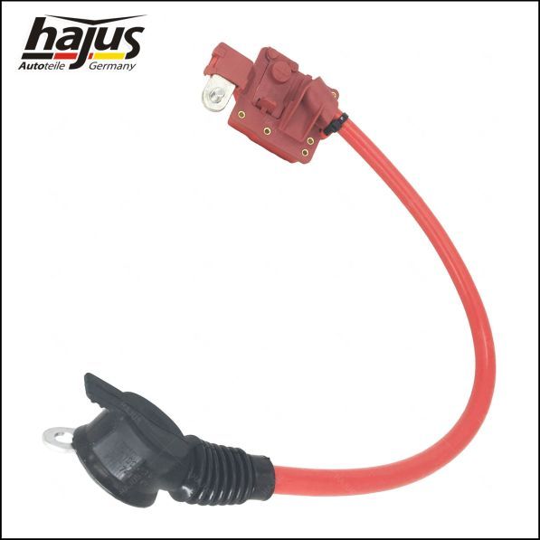 hajus Autoteile Batteriepolklemme (9191251)