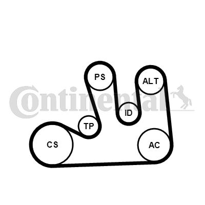 CONTINENTAL CTAM Keilrippenriemensatz (5PK1750K1)