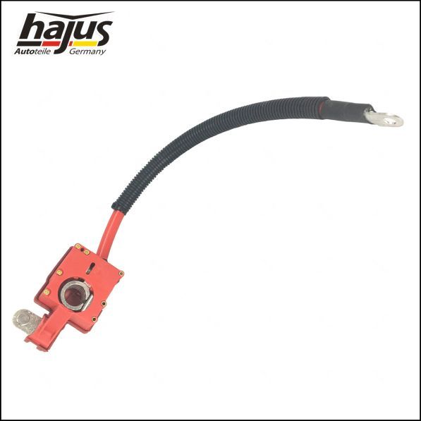 hajus Autoteile Batteriepolklemme (9191254)