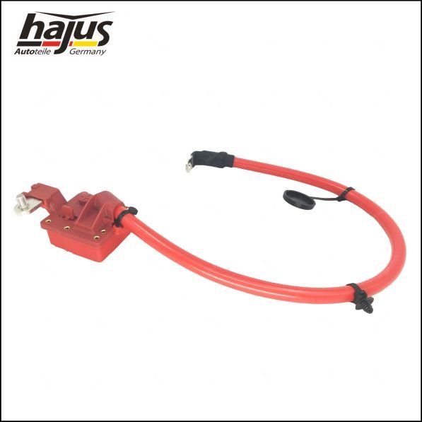 hajus Autoteile Batteriepolklemme (9191255)