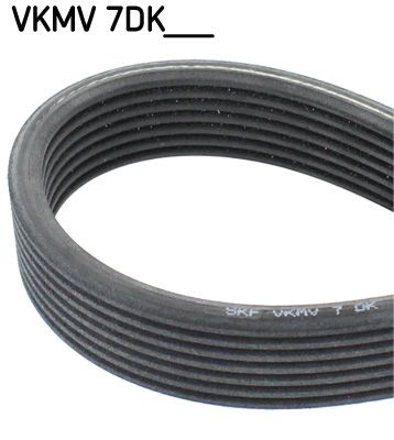 SKF Keilrippenriemen (VKMV 7DK1360)