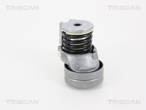 TRISCAN Riemenspanner, Keilrippenriemen (8641 293035)