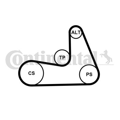 CONTINENTAL CTAM Keilrippenriemensatz (5PK1121 EXTRA K1)