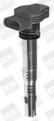 BorgWarner (BERU) Zündspule (ZSE032)