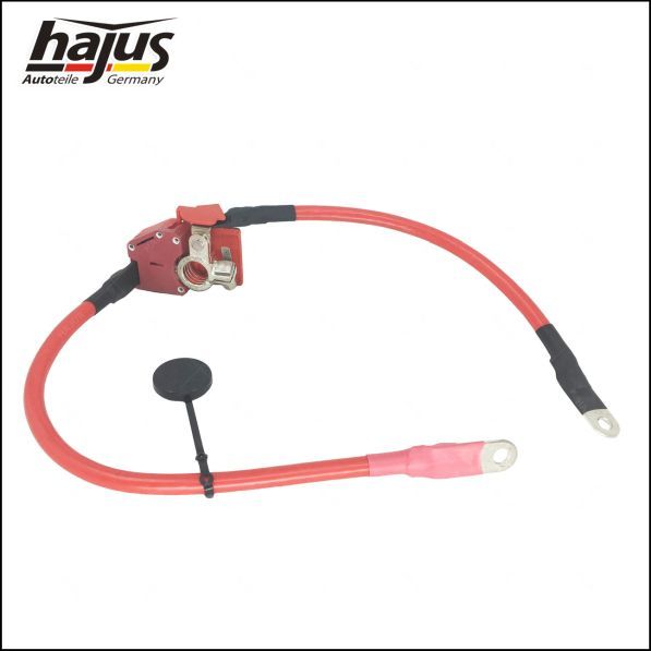 hajus Autoteile Batteriepolklemme (9191250)