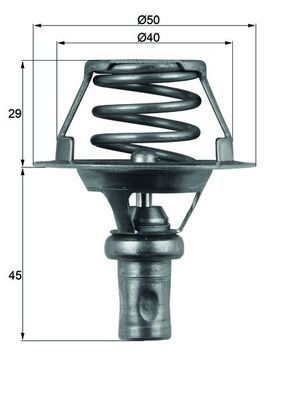 MAHLE Thermostat, Kühlmittel (TX 66 91D)