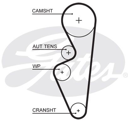 GATES Keilrippenriemen (6PK1305)