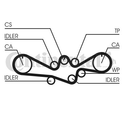 CONTINENTAL CTAM Zahnriemen (CT1050)