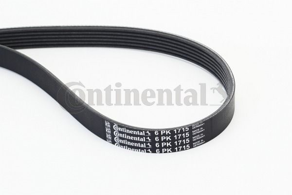 CONTINENTAL CTAM Keilrippenriemen (6PK1715)