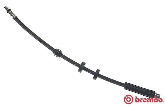 BREMBO Bremsschlauch (T 24 049)