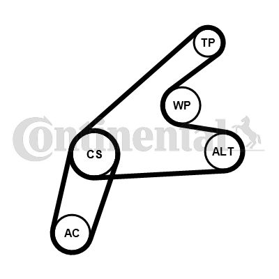 CONTINENTAL CTAM Keilrippenriemensatz (6PK1306K3)