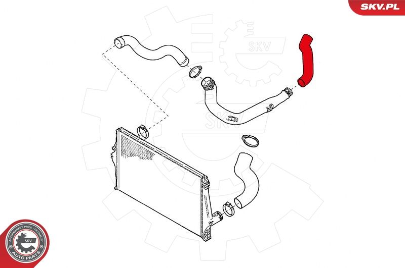 ESEN SKV Ladeluftschlauch (24SKV894)