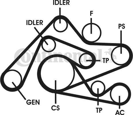 CONTINENTAL CTAM Keilrippenriemensatz (6PK2404D2)